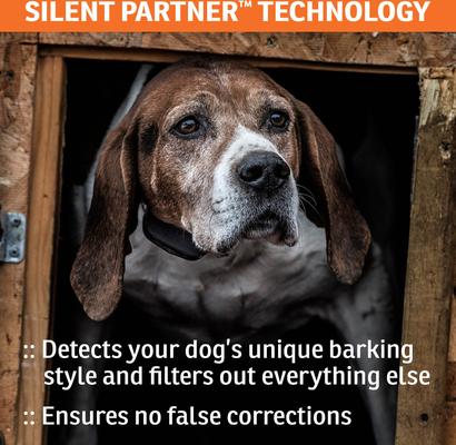 Show full view: SportDOG NoBark SBC-R Waterproof Rechargeable Dog Bark Shock Collar slide 5 of 10