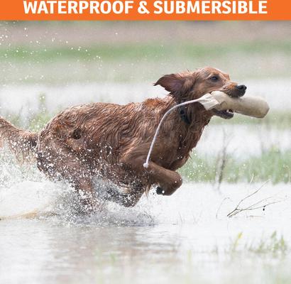 Show full view: SportDOG NoBark SBC-R Waterproof Rechargeable Dog Bark Shock Collar slide 6 of 10