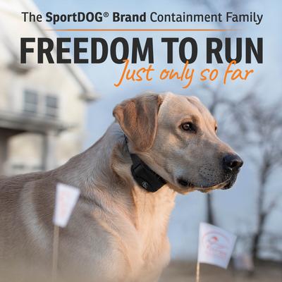 Show full view: SportDOG Rechargeable In-Ground Dog Fence System slide 7 of 8