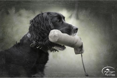 Show full view: SportDOG Regular Canvas Dog Training Dummy, Natural slide 3 of 6