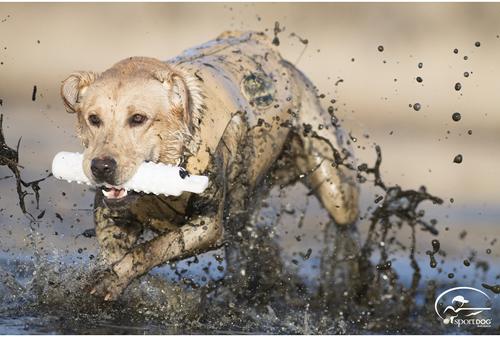 Show full view: SportDOG Regular Plastic Dog Training Dummy, White slide 2 of 6