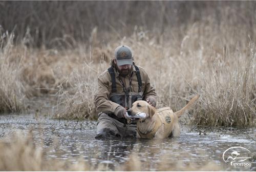 Show full view: SportDOG Regular Plastic Dog Training Dummy, White slide 3 of 6