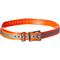 Show in main carousel: SportDOG Replacement Strap Dog Collar, Orange Reflective, 3/4-in  slide 2 of 3