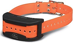 SportDOG SDF-CT Contain + Train System & Add-A-Dog Collar