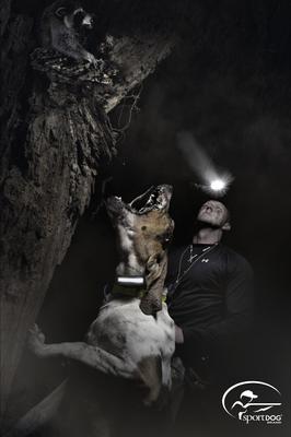 Show full view: SportDOG SDR-AH Add-A-Dog Waterproof Collar Receiver slide 2 of 4