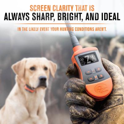 Show full view: SportDOG SportTrainer 575E Remote Training Dog Collar slide 5 of 8