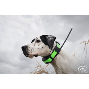 SportDOG TEK Series 1.5 GPS Dog Tracking & Training System & Collar, Black/Green