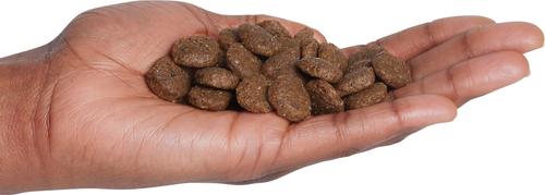 Show full view: SPORTMiX CanineX Performance Beef Formula Dry Dog Food, 40-lb bag slide 4 of 8