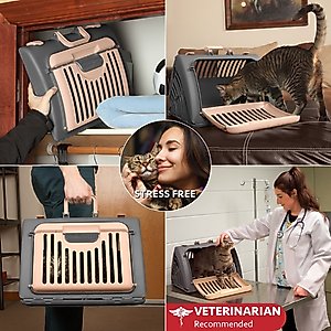 SportPet Designs Travel Master Collapsible Carrier with Cat & Dog Plush Bed, Grey & Pink, Large