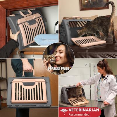 Show full view: SportPet Designs Travel Master Collapsible Dog & Cat Carrier with Plush Bed, Grey & Pink, Large slide 5 of 11