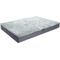 Show in main carousel: SportPet Designs Deluxe Mattress Dog Bed, Large slide 1 of 7