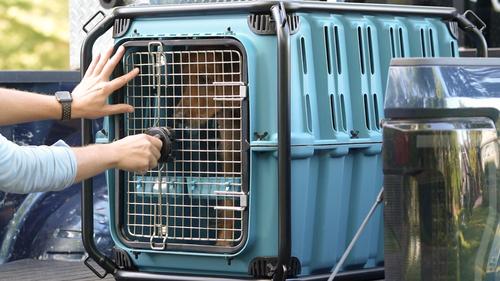 Show full view: Mammoth Guardian Dog Kennel Roll Cage & Tethers, Grey, 37-in slide 6 of 8