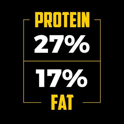 Show full view: Sportsman's Pride Classic 27/17 Active Adult & Puppy Dry Dog Food, 40-lb bag slide 5 of 12