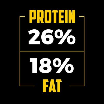 Show full view: Sportsman's Pride Field Master 26/18 Limited Ingredient Dry Dog Food, 40-lb bag slide 5 of 12