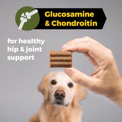 Show full view: Sportsman's Pride Field Master Active Hip & Joint Duck, Sweet Potato & Berry Recipe Grain-Free Jerky Bites Dog Treats, 5-oz bag slide 8 of 11