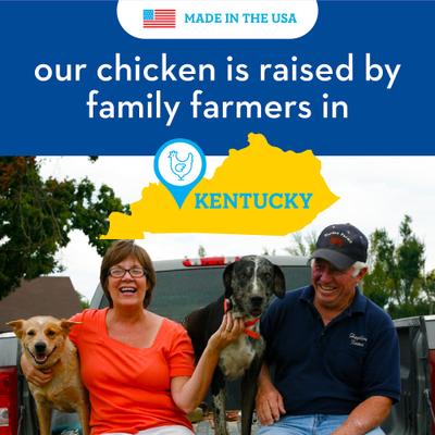 Show full view: Spot Farms Chicken Jerky Hip & Joint Formula Human-Grade Jerky Dog Treats, 12-oz bag slide 8 of 10