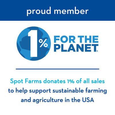 Show full view: Spot Farms Chicken Nuggets Dog Treats, 12-oz bag slide 8 of 9