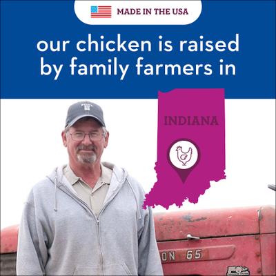 Show full view: Spot Farms Turkey Meatball Recipe with Cranberries Dog Treats, 12.5-oz bag slide 7 of 9