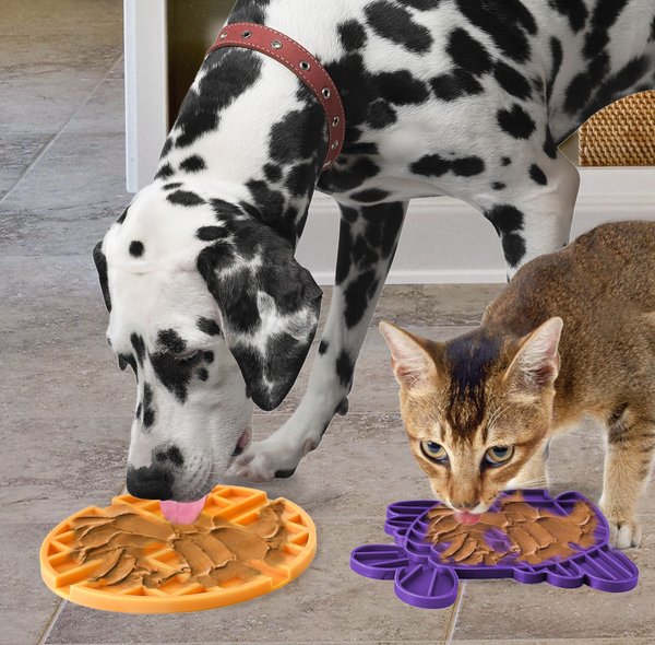 Show full view: Spot Lick Mat Fish Dog Toy, 9.75-in slide 5 of 6