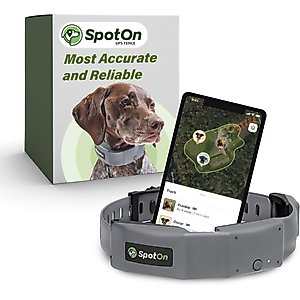 SpotOn Fence Wireless GPS Dog Fence System, Grey, Large: 18 to 26-in neck, 1-in wide