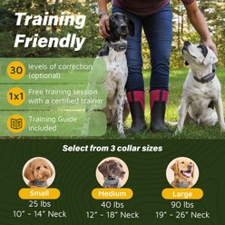 SpotOn Fence Wireless GPS Dog Fence System, Grey, Large: 18 to 26-in neck, 1-in wide slide 2 of 6