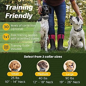 SpotOn Fence Wireless GPS Dog Fence System, Grey, Large: 18 to 26-in neck, 1-in wide