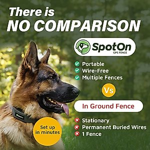 SpotOn Fence Wireless GPS Dog Fence System, Grey, Large: 18 to 26-in neck, 1-in wide