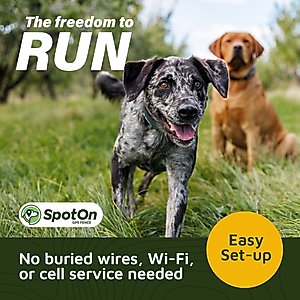 SpotOn Fence Wireless GPS Dog Fence System, Grey, Large: 18 to 26-in neck, 1-in wide
