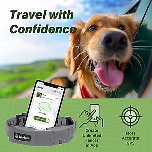 SpotOn Fence Wireless GPS Dog Fence System, Grey, Large: 18 to 26-in neck, 1-in wide
