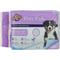 Show in main carousel: Spotty Everyday Puppy Pee Pads, 22 x 22-in, 14 count slide 1 of 2