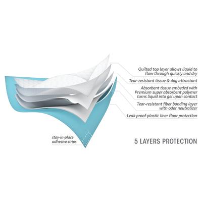 Show full view: Spotty Everyday Puppy Pee Pads, 22 x 22-in, 14 count slide 2 of 2