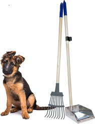 Spotty Metal Tray & Rake Poop Scooper Set, 40-in