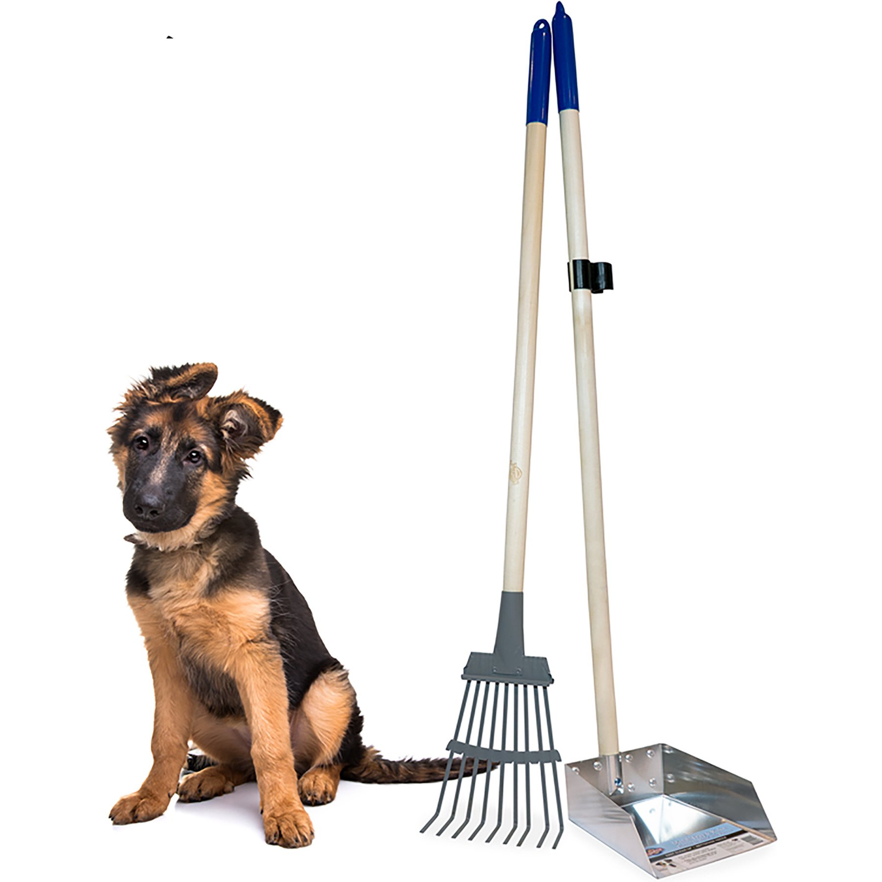 Spotty Metal Tray & Rake Poop Scooper Set, 40-in