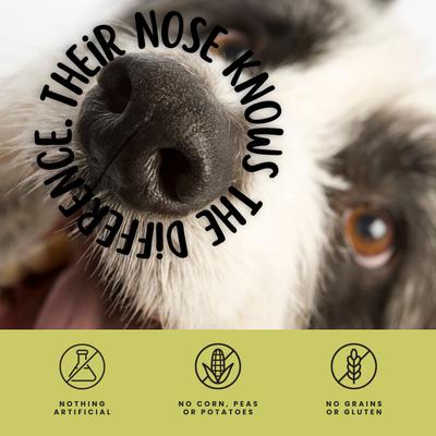 Show full view: Sprankles All Natural Turkey Flavored Tendons Dog Chews, 8-oz bag slide 9 of 10