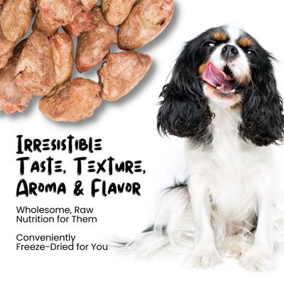 Show full view: Sprankles Chicken Hearts Grain-Free Freeze-Dried Dog Treats, 12-oz bag slide 5 of 7