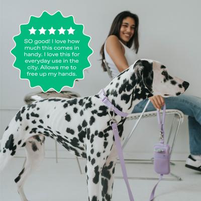 Show full view: Springland Nylon Dog Walk Bag + Leash, Lilac, Regular: 5-ft long slide 4 of 6