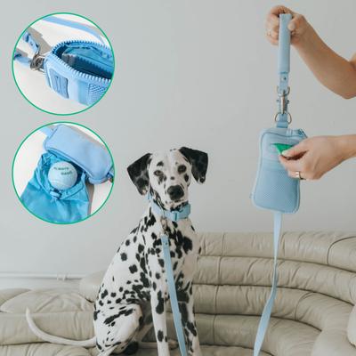Show full view: Springland Nylon Dog Walk Bag + Leash, Sky Blue, Small: 4-ft long slide 2 of 6
