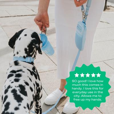 Show full view: Springland Nylon Dog Walk Bag + Leash, Sky Blue, Small: 4-ft long slide 5 of 6