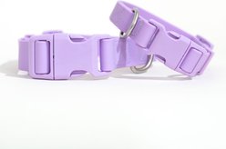 Springland Nylon Wateproof Dog Collar, Lilac, Large: 14 to 18-in neck, 1-in wide
