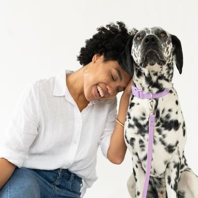 Show full view: Springland Nylon Wateproof Dog Collar, Lilac, Small: 8 to 10-in neck, 3/4-in wide slide 7 of 8