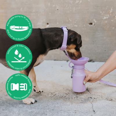 Show full view: Springland Nylon Wateproof Dog Collar, Lilac, Small: 8 to 10-in neck, 3/4-in wide slide 3 of 8