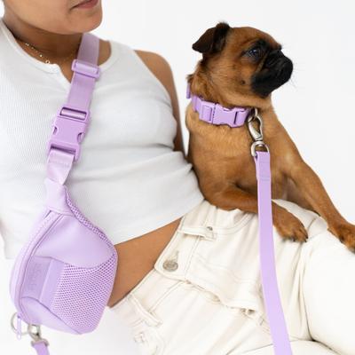 Show full view: Springland Nylon Wateproof Dog Collar, Lilac, Small: 8 to 10-in neck, 3/4-in wide slide 5 of 8