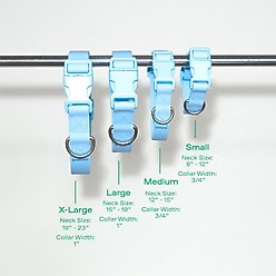 Springland Nylon Wateproof Dog Collar, Sky Blue, Small: 8 to 10-in neck, 3/4-in wide slide 2 of 5