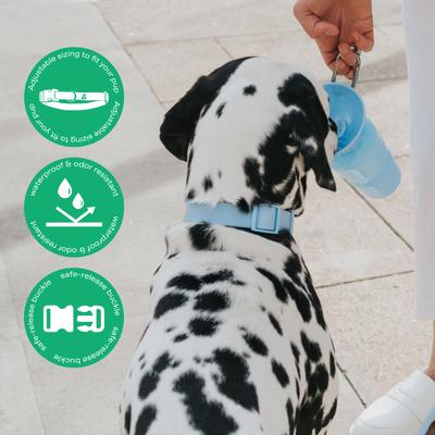 Show full view: Springland Nylon Wateproof Dog Collar, Sky Blue, Small: 8 to 10-in neck, 3/4-in wide slide 2 of 6