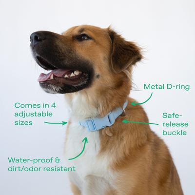 Show full view: Springland Nylon Wateproof Dog Collar, Sky Blue, Small: 8 to 10-in neck, 3/4-in wide slide 4 of 6