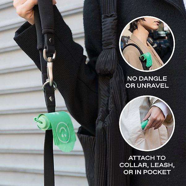 Show full view: Springland Poop Bag Dispenser with Bags, Unscented, Green slide 2 of 10