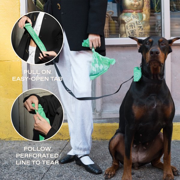Show full view: Springland Poop Bag Dispenser with Bags, Unscented, Green slide 6 of 10