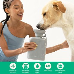 Springland Travel Dog Bottle, Gray, 44-oz slide 2 of 9