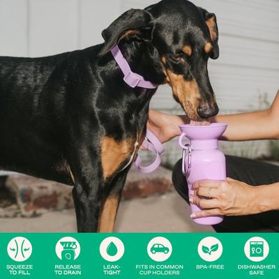 Show full view: Springland Travel Dog Bottle, Lilac, 22-oz slide 3 of 11