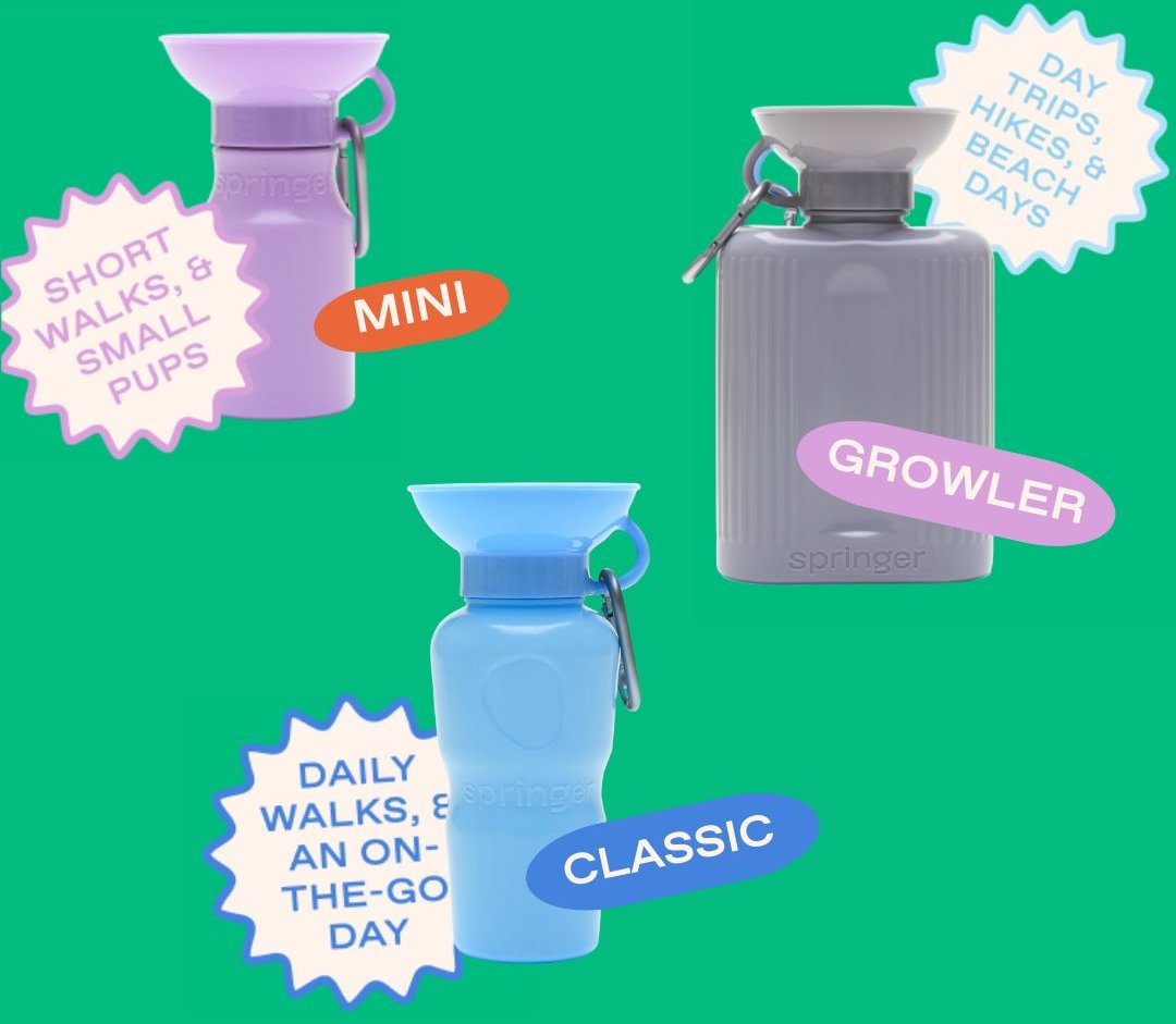 【NEIGHBORHOOD/ネイバーフッド】DOG TRAVEL BOTTLE Neighborhood Dog Travel Bottle 251MYNH-AC06 / Black | OVERKILL